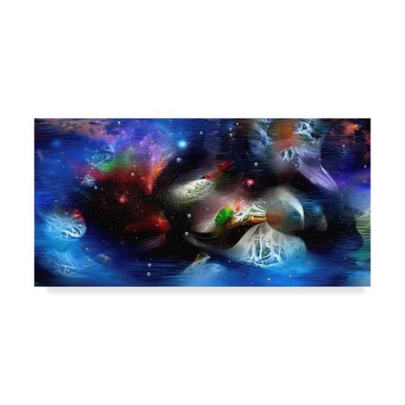 RUNA 'Cosmic 6' Canvas Art,16x32 -  TRADEMARK FINE ART, ALI21658-C1632GG